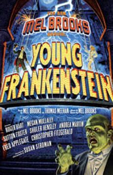 Broadway Musical Home - Young Frankenstein