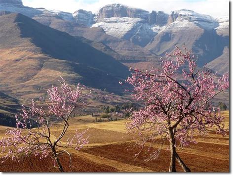 Leaving on a High (Lesotho, Africa)