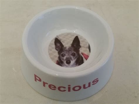 Personalized Dog Bowls - Permanent Custom Tiles - Pictured Tile