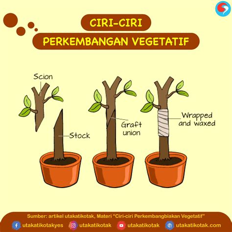 Ciri-ciri Perkembangbiakan Vegetatif - UtakAtikOtak.com