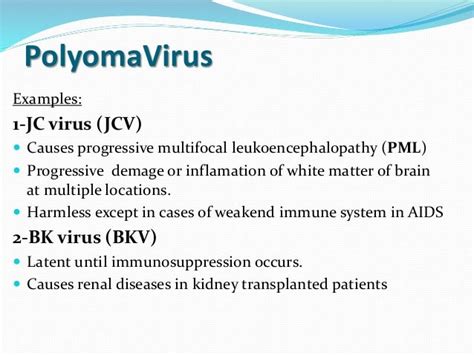 polyoma virus