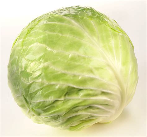 Green Cabbage - Riviera Produce, Cornwall's grower of choice.