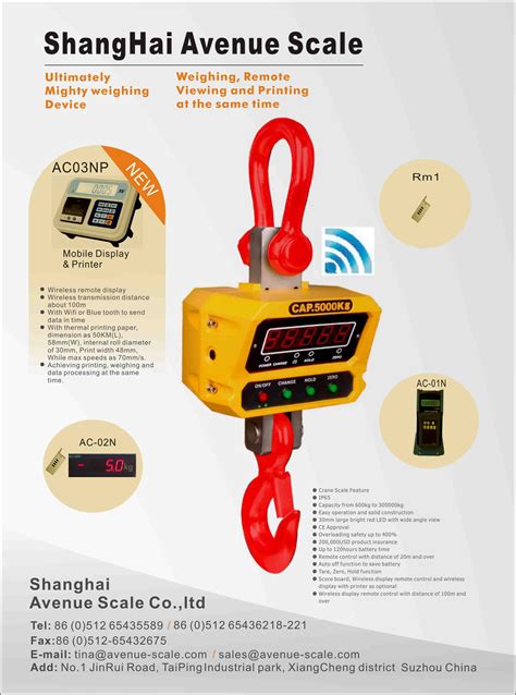 Electronic Crane Scale for Industry (GS-D) – Shanghai Avenue Co.,Ltd