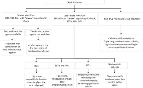 Carbapenem-resistant Acinetobacter baumannii: in pursuit of an effective treatment - Clinical ...