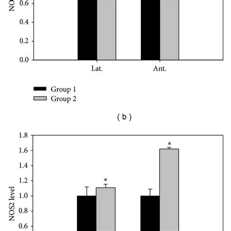 The effect of 5-alpha reductase inhibitor on expressions of nNOS, iNOS,... | Download Scientific ...