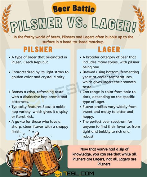 Pilsner vs. Lager: Confusing Beer Terms • 7ESL