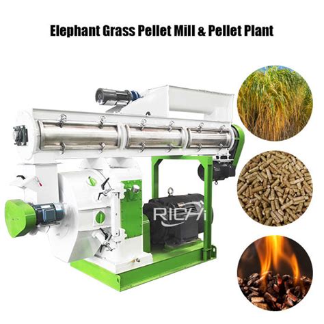 Elephant Grass Pellet Mill - pellet-richi.com