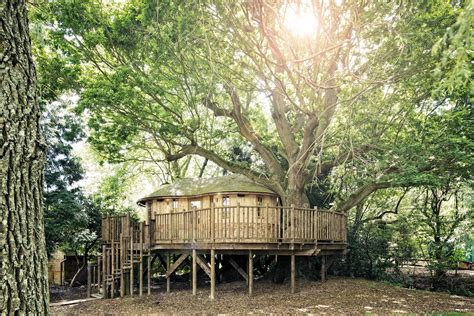 Whimsical Tree House Design for Adults (This is an Actual Home)