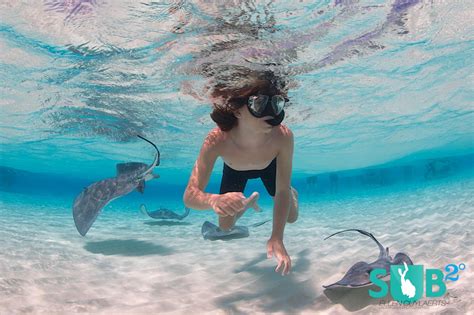 Sandbar at Stingray City, Grand Cayman, Cayman Islands | Scuba Diving Blog