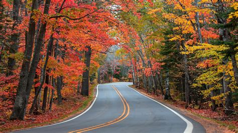 6 Most Beautiful Spots Along the Scenic Tunnel-Of-Trees Road in Michigan - WorldAtlas