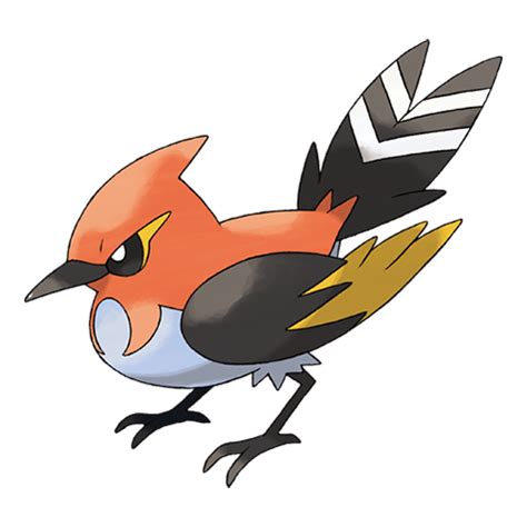 Fletchinder | Pokédex