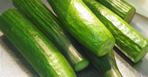 Free stock photo of cucumber, cucumbers