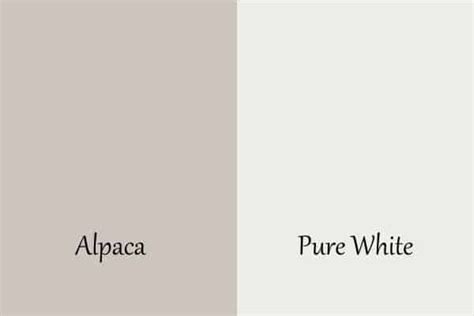 Sherwin Williams Alpaca: Paint Color Review in 2021 | Alpaca sherwin williams, Sherwin williams ...