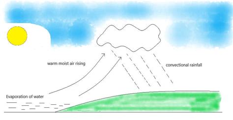 Cyclonic Precipitation Diagram