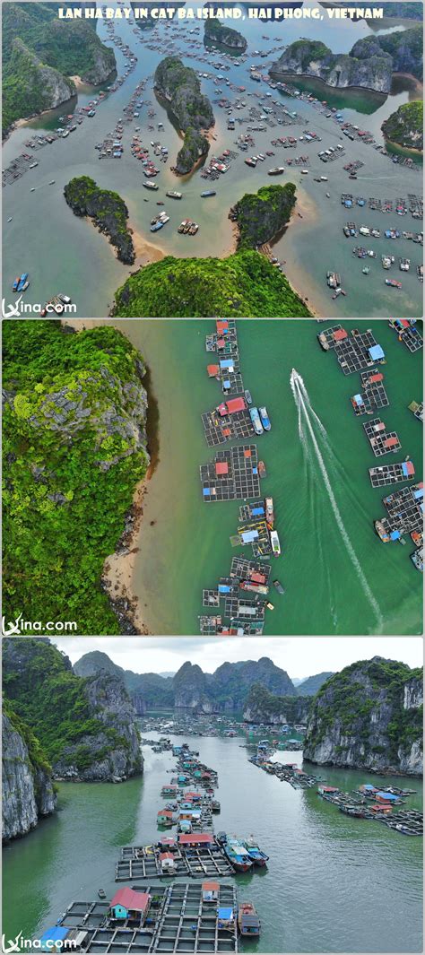 Lan Ha Bay Photos: The Forgotten Paradise In Cat Ba Island, Hai Phong ...