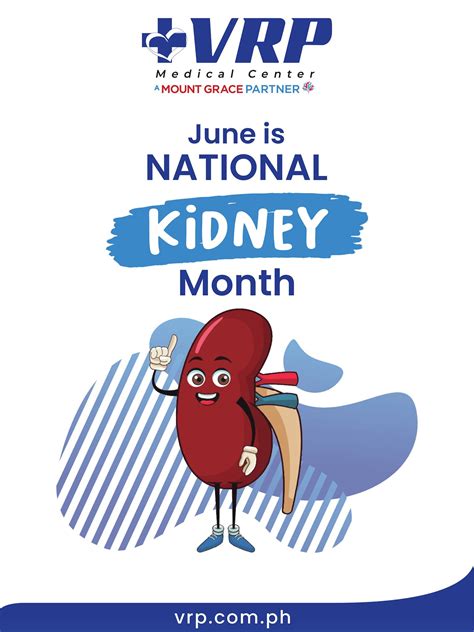 June is National Kidney Month! Tips for Healthier Kidneys