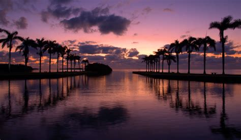 Cutler Bay, FL City Guide: Dining, Attractions, & Shopping - Value Store It