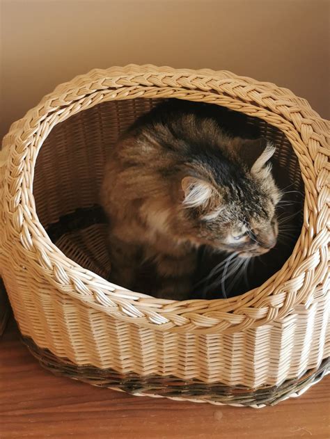 Cat Cave Cat Basket Basket for Cats Handwoven Basket for - Etsy