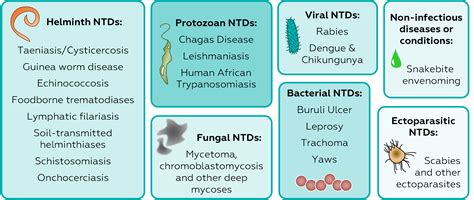 World Neglected Tropical Disease Day -Road Map - ScoreBetter