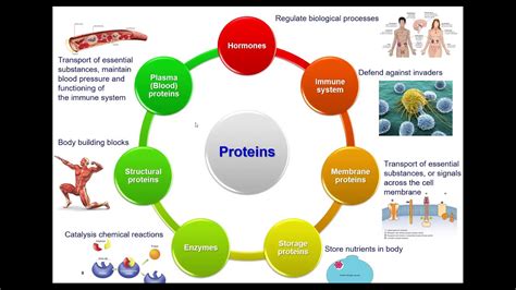 Introduction to Computer-Aided Drug Design - YouTube