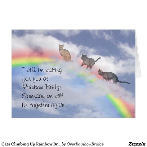 Cats Climbing Up Rainbow Bridge Card | Zazzle.com | Rainbow bridge ...