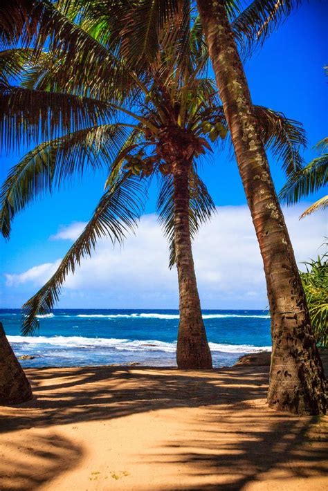 A BEACH IN PAIA, Maui | Maui, Beach, Hawaii