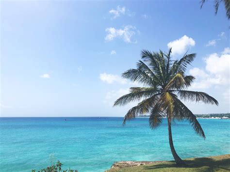 Turquoise waters and clear skies at Miami Beach, Barbados - Beach Wallpapers