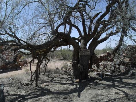 File:Wickenburg Vulture Mine-Hanging Tree.jpg - Wikimedia Commons