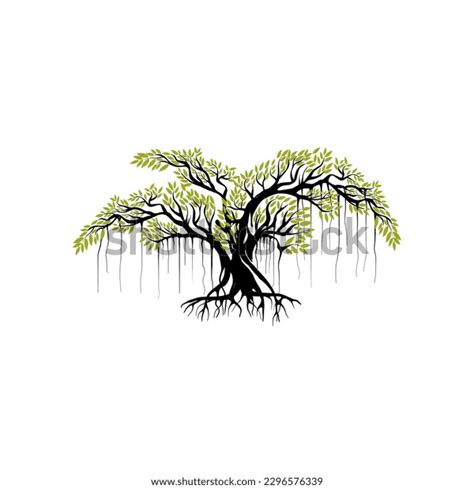 Tree Vector Illustration Roots Banyan Tree Stock Vector (Royalty Free) 2296576339 | Shutterstock