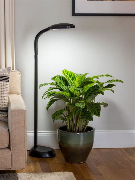 Floor Plant Lamp - Full Specrum CFL Grow Light | Free Shipping Indoor ...