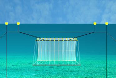 Submersible Cages - Badinotti Group