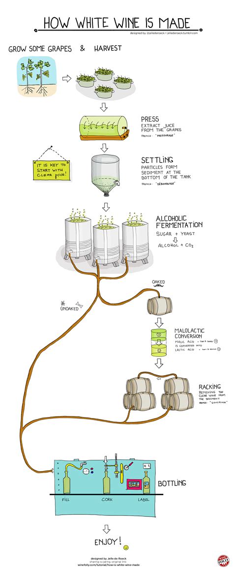 How White Wine is Made From Grapes to Glass | Wine Folly