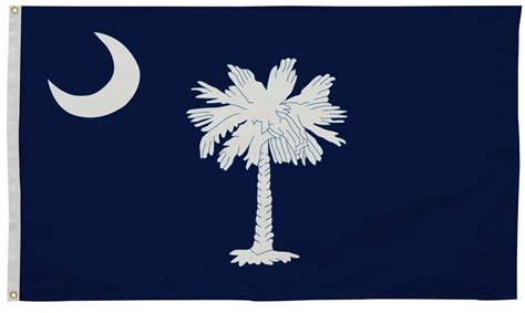 South Carolina State Flag 4' x 6' | South Carolina Flag | State of South Carolina Flag