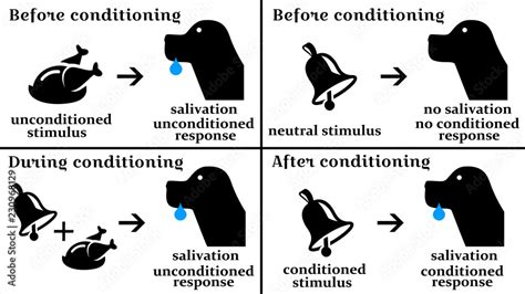 pavlov psychology response Stock Illustration | Adobe Stock