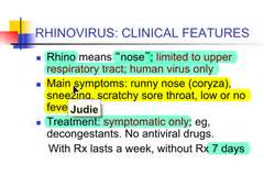 3. Respiratory Viruses and Encephalitis Viruses flashcards | Quizlet