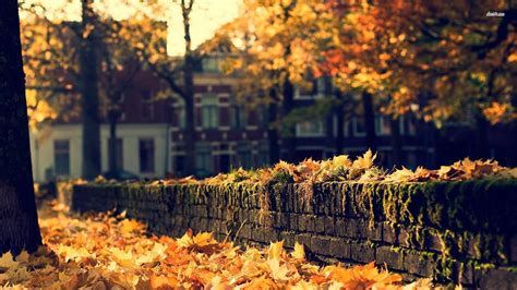 Cozy HD Autumn Wallpapers - Wallpaper Cave