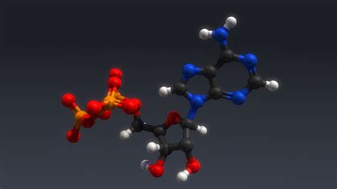 3d atp structure model