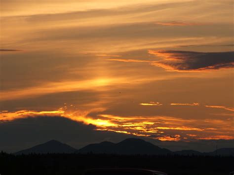 dillingham alaska ...bird... | nite time in alaska. summer | Flickr