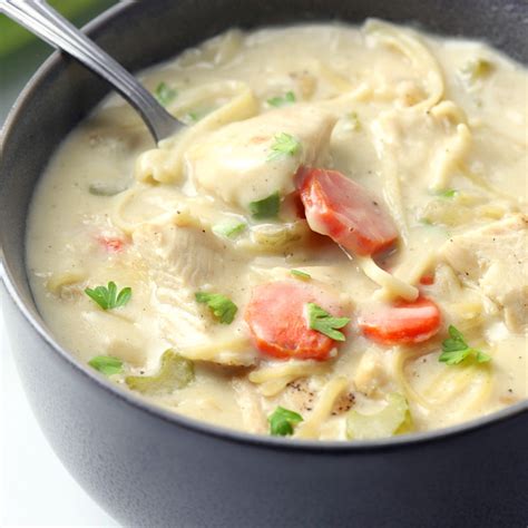 Creamy Turkey Noodle Soup - The Toasty Kitchen