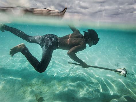 Larger Spleens Help Bajau “Sea Nomads” Dive