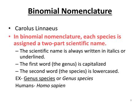 PPT - Classification/Taxonomy PowerPoint Presentation, free download ...