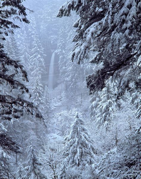 USA, Oregon, Silver Falls State Park. North Falls in winter snow ...