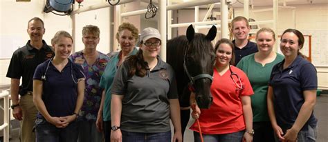 4 H Students Visit Oklahoma State's Veterinary Center | Oklahoma State ...