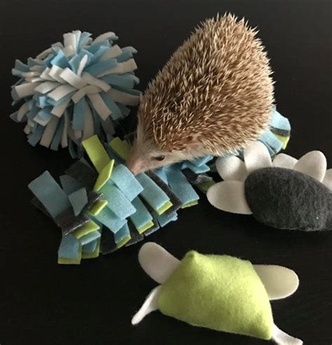 TOY BUNDLE 1: Toys for hedgehogs. Small pet toy. Bell toy. | Etsy | Toys for hedgehogs, Soft toy ...