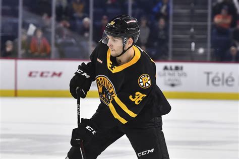 Four Bruins Prospects Headed for the NHL Roster - Stanley Cup of Chowder