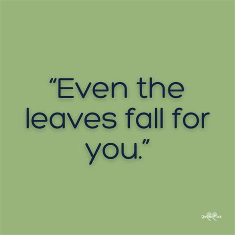 30 Leaf Quotes To Remind You Of The Beauty Of Nature