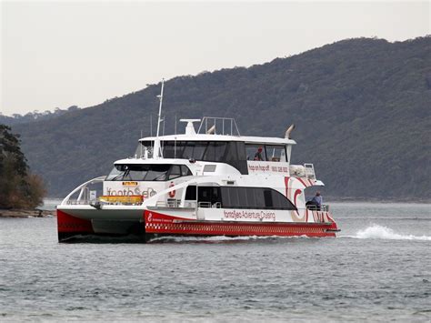 Palm Beach Ferry Service resumes | Daily Telegraph