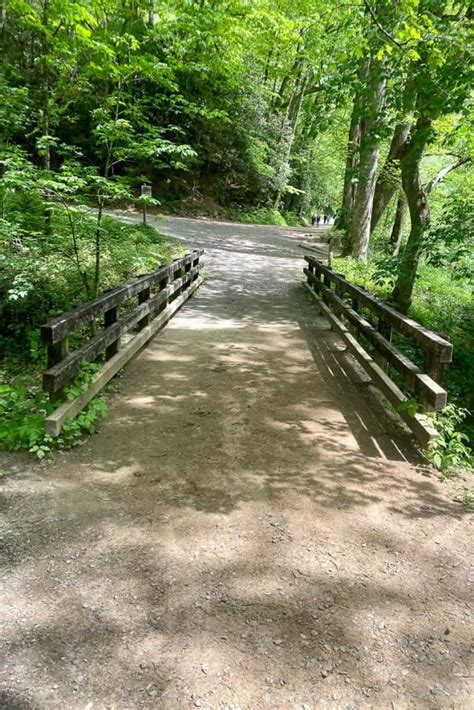 Deep Creek Hiking Trails (Great Smoky Mountains) - Champagne Tastes®