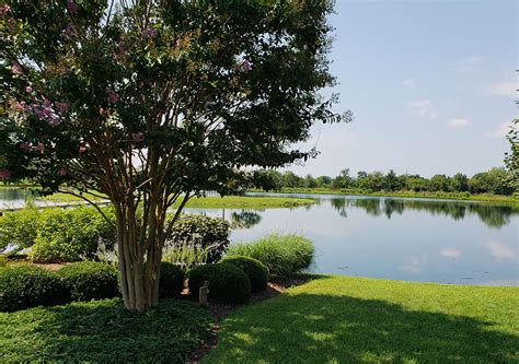 Culpeper Plantings - Revolutionary Gardens