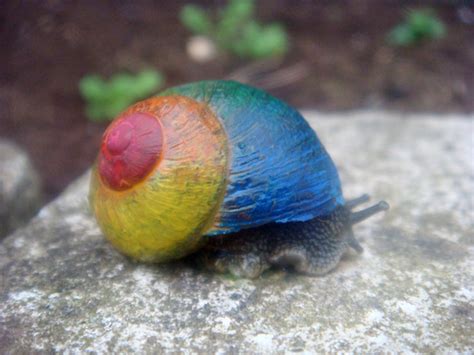 To Protect Snails From Being Stepped On, People Paint On Their Shells